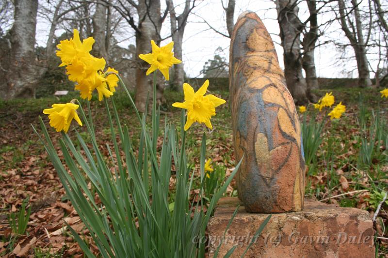 Daffodils and sculpture, Cloudehill Gardens IMG_6514.JPG